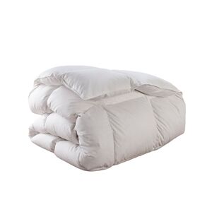 DODO Couette Thermoduv CHAUDE - 90% Duvet d'Oie - 140/200 - DODO