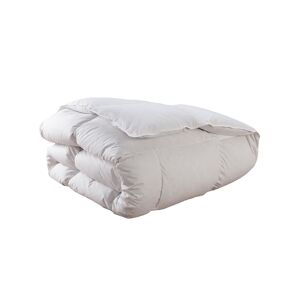 DUNLOPILLO Couette Jade Chaude - 40% duvet - 220/240 - DUNLOPILLO