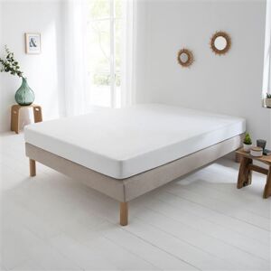 Non communiqué Protege Matelas Coton - 70x190 cm - 100% coton - Le Roi du Matelas Blanc - Publicité