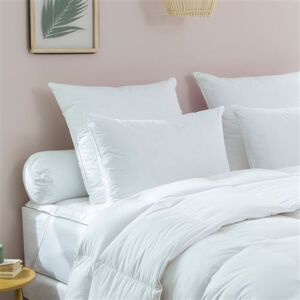 Non communiqué Oreiller Medium 70% duvet d'oie neuf - 50/75 - DODO Blanc - Publicité