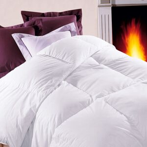 DODO - Couette duvet Tradition TEMPEREE - 70% Duvet d'Oie