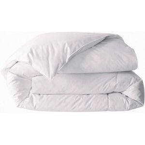 Blancheporte Couette naturelle duvet premier prix 450g/m2 - Blancheporte Blanc Couette 1-2 pers : 200x200cm