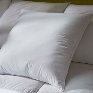 Blancheporte Oreiller duvet et plumettes enveloppe coton antitaches - 800g - Blancheporte Blanc Oreiller : 65x65cm