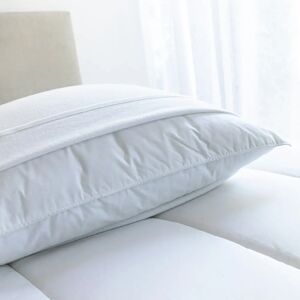 Sous-taie molleton absorbant - lot de 2 - BlancheporteUne sous-taie en molleton absorbant 100% coton qui protege votre oreiller et vous procure un confort de tous les instants.Sous-taie : 40x60cmBlanc