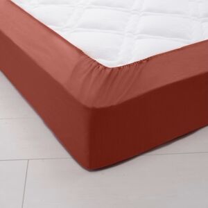 Blancheporte Drap-housse uni coton bonnet 32 cm - Blancheporte Orange Drap-housse 1 personneonne : 90x190cm