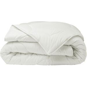 Blancheporte Couette coton issu de l'agriculture biologique 250 g/m² - BlancheporteDu coton issu de l'agriculture biologique… et rien d’autre pour cette couette naturelle au confort exemplaire ! Son enveloppe et son garnissage naturels garantissent un con