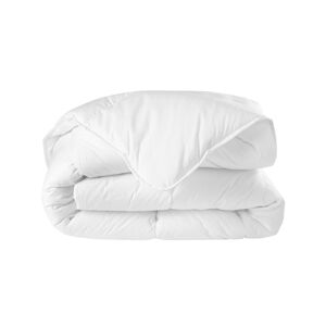 Blancheporte Couette Hollofil® Allerban® 400 g/m2, confort durable - Blancheporte Blanc Couette 1 personne : 140x200 cm