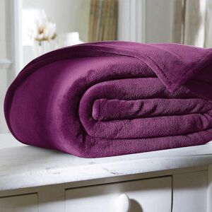 Blancheporte Couverture microfibre - Blancheporte Violet Couverture 2 personnes : 240x260 cm