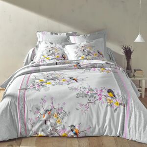 Linge de lit Birdy en coton imprimé oiseaux - Drap Plat 2 Personnesonnes : 240x300cm - Gris - ColombineImprimé dans l’air du temps, revisité de façon poétique... Une échappée belle entre romantisme et modernité pour le linge de lit Birdy de Colombine®.Dra - Publicité