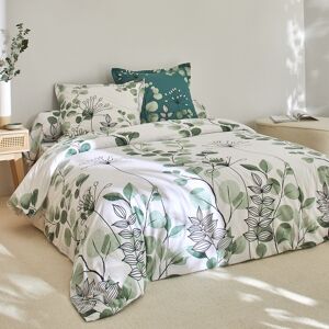 Linge de lit Danae en coton imprime - Drap Plat 1 Personneonne : 180x290cm - Vert - ColombineOffrez un brin de nature a votre chambre avec ce linge de lit Danae ou les motifs vegetaux s'imposent tout en elegance. Reversible pour changer de style selon vos