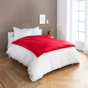 Blancheporte Edredon naturel duvet et plumettes - BlancheporteRetrouvez le plaisir d'un édredon entièrement naturel en duvet et plumettes !Plumon 2 personnes : 140x150cmRouge