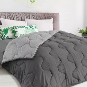 IDMarket Couette bicolore 140x200 gris foncé et gris clair