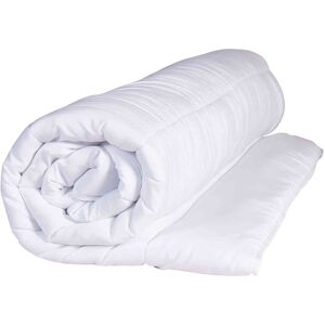 Terre de Nuit Couette mi-saison anti-punaises et anti-insectes enveloppe microfibre 350g 260x240