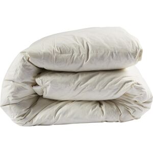 Couette confort duvet de canard Someo 200x200