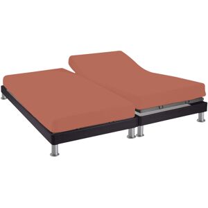 Terre de Nuit Drap housse TPR terracotta 100% coton bonnet 30 cm 2x70x190 cm