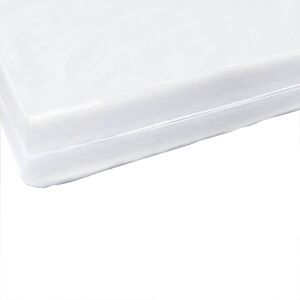 SweetNight Housse de matelas anti-acariens et anti-punaises sans traitement 70x140