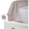 Traversin percale Tradilinge LIN (Couleur : Lin)