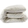 Couette confort duvet de canard Someo 240x220