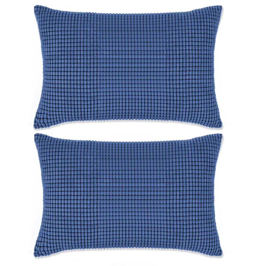 vidaXL Sierkussenset 40x60 cm velours blauw 2-delig