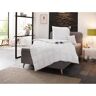 SPESSARTTRAUM Ganzendonzen dekbed + hoofdkussen Premium****** (voordeelset) wit