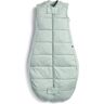 ergoPouch Babyslaapzak, 2-4 jaar, ideaal in de winter, Sage   TOG 2.5   inbakerzak, 2-in-1, inbakerdoek, inbakerdeken, wikkeldoek   met stretch voor armen en hals