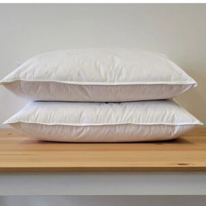 White Noise Alamak Down Medium Support Pillow (Set of 2) 25.0 H x 73.0 W cm