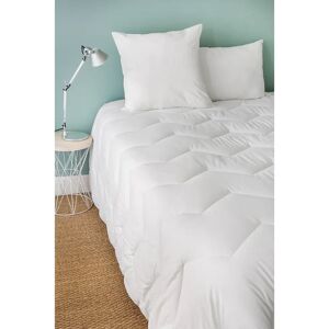 White Noise 100% Fibre All Season Duvet white 280.0 H x 240.0 W x 40.0 D cm