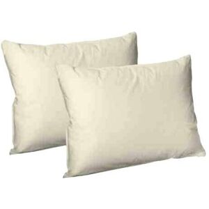 ARLINENS (Plain Dyed Poly Cotton Fitted Sheet (Cream,Pair of Pillowcases)) Plain Dye Poly