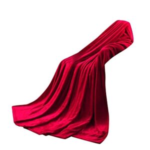 Colorful(TM Home Decor Super Soft Warm Solid Warm Micro Plush Fleece Blanket Throw Rug Sofa Bedding (Red, 50 * 70cm)