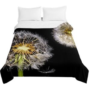 Odot Bedspread Throw Single Double Super King Size Quilted Soft Microfiber Lightweight Pattern Bedspreads Quilt Coverlet All Season Bedding (Dandelion 5,100x150cm)