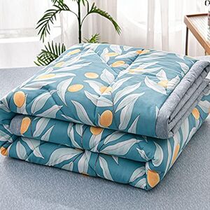 Chickwin Quilted Bedspread Single Double King Size, Simple Floral Printed Coverlets Lightweight Microfiber Comforter Easy Care Sofa Blanket Throw for All Season (100x150cm,Lake Blue)