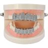 LH-X-C 14k Plated Hip Hop Teeth polished Teeth Grillz Grillz Teeth Grillz