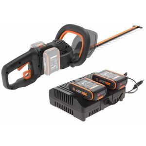 Motosierra podadora pértiga a batería 20V WORX POWERSHARE 20 cm batería 2  Ah