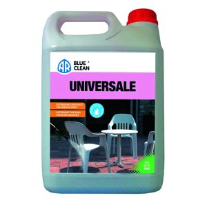 ANNOVI REVERBERI Detergente per idropulitrice  5 l