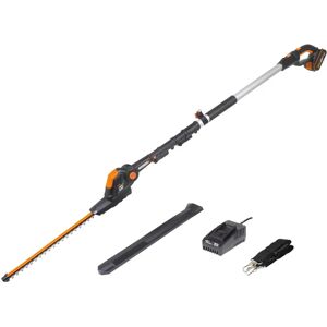 Worx Tagliasiepi ad asta a batteria  WG252E 20V 1 batteria inclusa