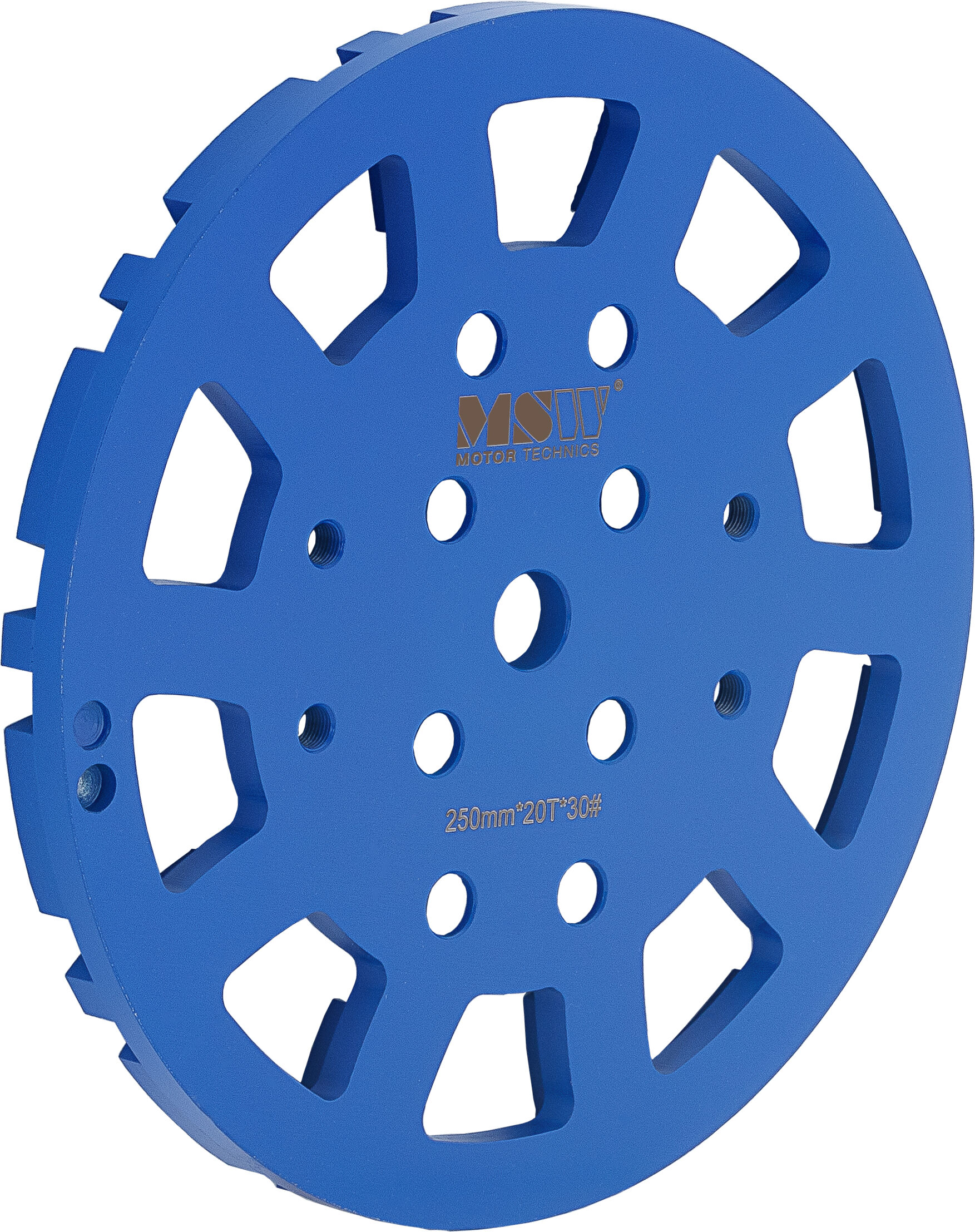 MSW Beton slijpschijf - diameter: 250 mm - voor beton - korrelgrootte 30 - 20 slijpsegmenten MSW-FGGD-2