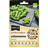 Batlle Sementes Super Foods Ecológico Favas