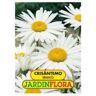 Jardin Flora Sementes Crisantemo Branco