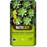 Nutreasy Substrato Catos & Suculentas Bio 10Lt