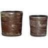 Hubsch Interior Conjunto de 2 Potes Fossil