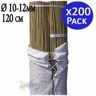 Suinga Tutor de bambu natural 120 cm 10-12 mm Pacote 200 Varas de bambu ecológicas para apoiar árvores, plantas e vegetais