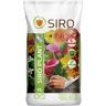 Siro Plant 11L