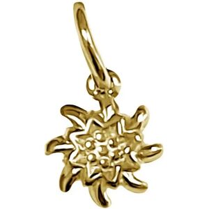 Trauffer - Accessoires, Charms Accessoir, 11mm, Gold