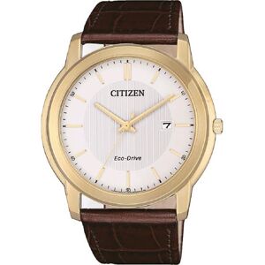 Citizen Platform Eco-Drive Herreur AW1212-10A