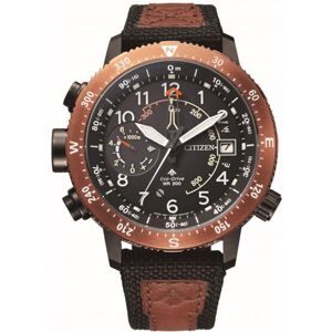 Citizen Promaster Limited Edition Herreur BN4049-11E