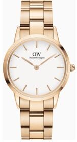 Daniel Wellington Iconic Link horloge DW00100211 - Goud