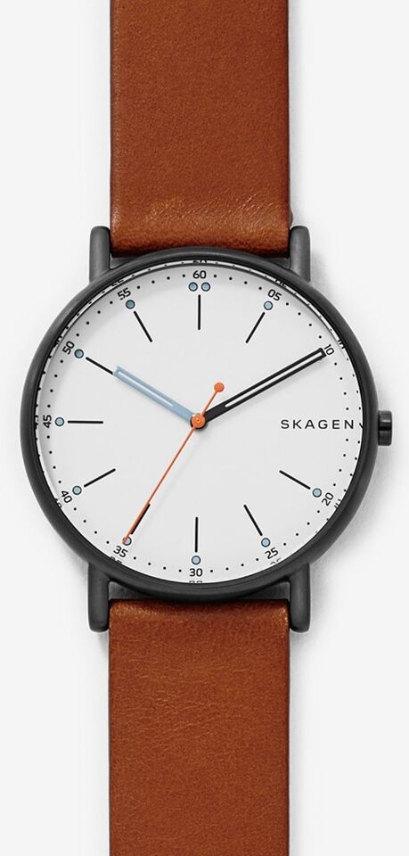 Skagen Signatur SKW6374