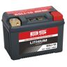 BS Battery Batterie Lithium-Ion - BSLI-10