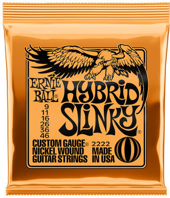 Ernie Ball 2222