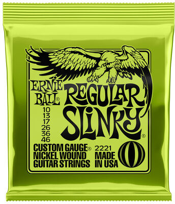 Ernie Ball 2221